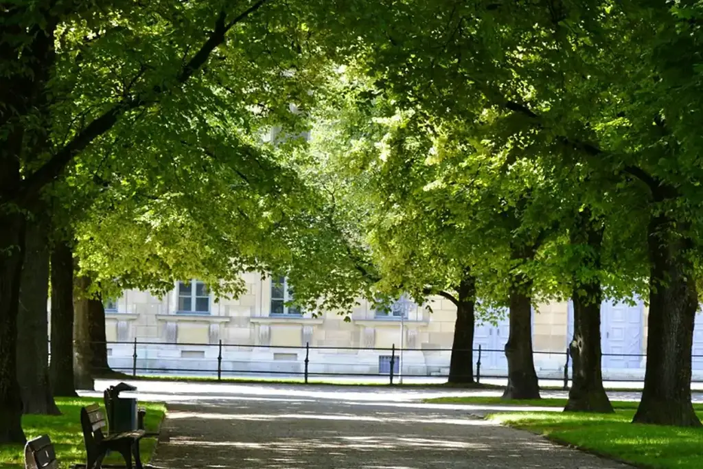 Mana Cresta, a picture from Mana Projects’ website