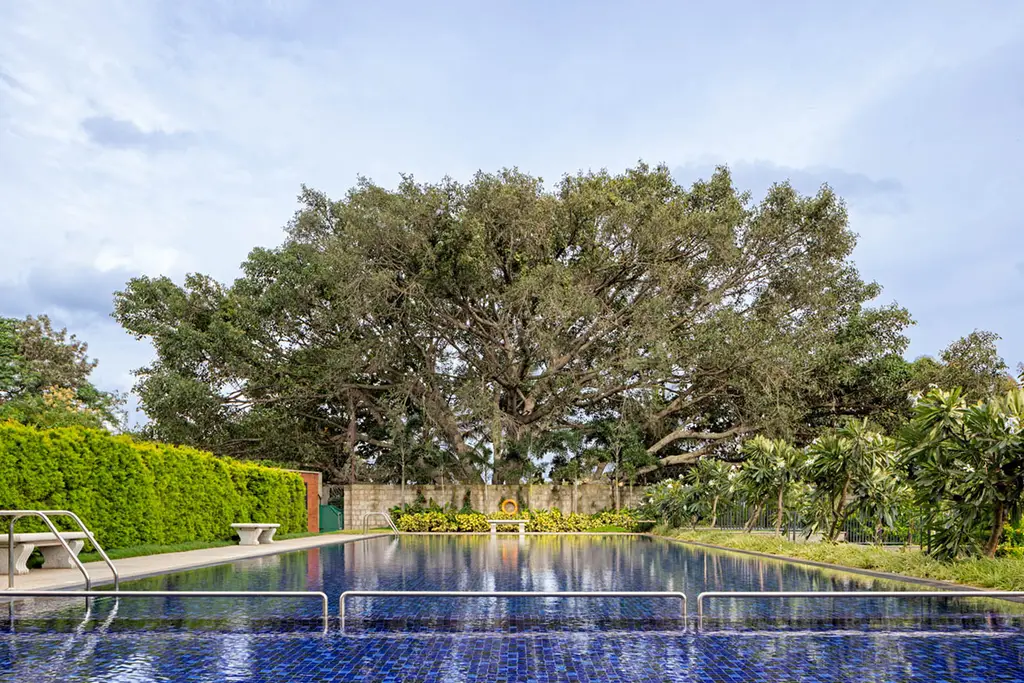 The Magic Faraway Tree, a picture from Total Environment’s website